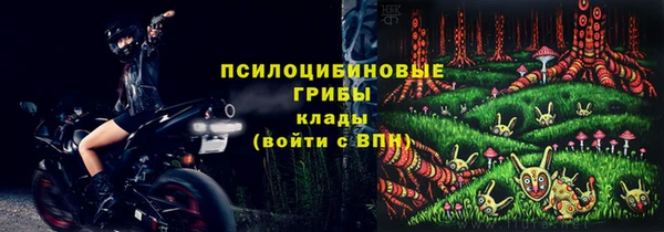 a pvp Алзамай