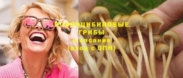 СК Абдулино